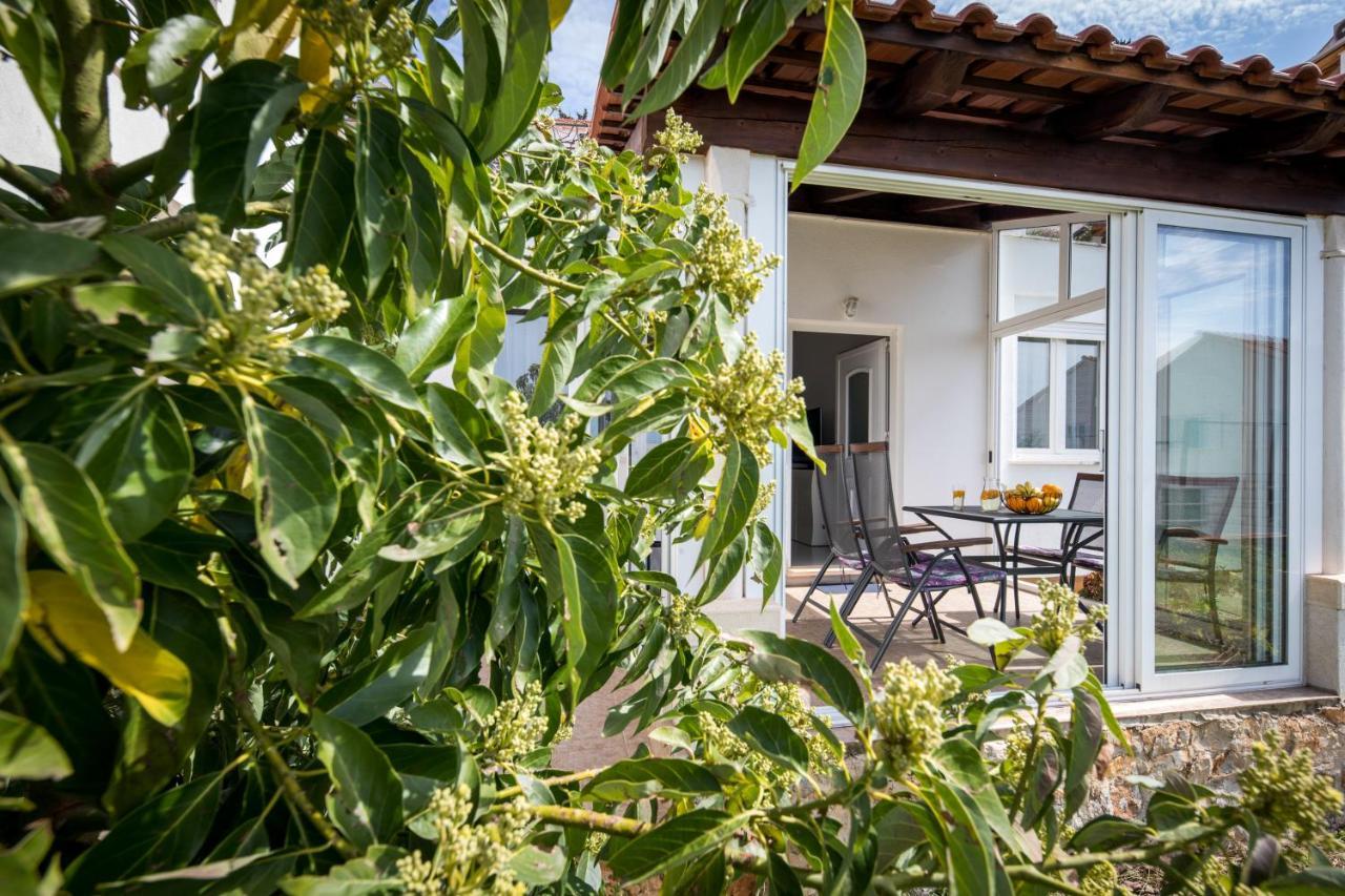 Avocado Apartment ドゥブロブニク エクステリア 写真